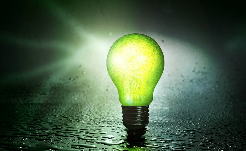 Green energy light bulb